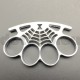 K8.1 Goods for training - silver - Brass Knuckles